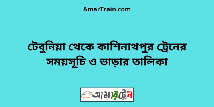 টেবুনিয়া টু কাশিনাথপুর ট্রেনের সময়সূচী ও ভাড়া তালিকা