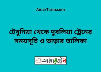 টেবুনিয়া টু দুবলিয়া ট্রেনের সময়সূচী ও ভাড়া তালিকা