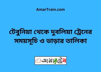 টেবুনিয়া টু রাঘবপুর ট্রেনের সময়সূচী ও ভাড়া তালিকা