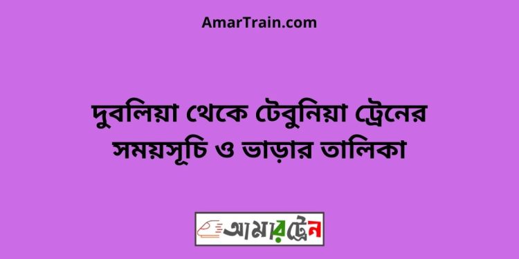 দুবলিয়া টু টেবুনিয়া ট্রেনের সময়সূচী ও ভাড়া তালিকা