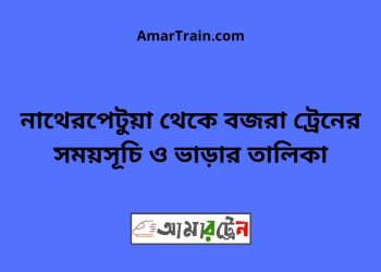 নাথেরপেটুয়া টু বজরা ট্রেনের সময়সূচী ও ভাড়া তালিকা