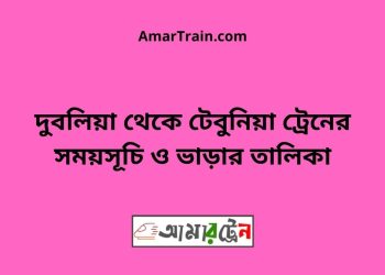 রাঘবপুর টু টেবুনিয়া ট্রেনের সময়সূচী ও ভাড়া তালিকা