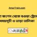 তিস্তা জংশন টু বগুড়া ট্রেনের সময়সূচী, টিকেট ও ভাড়ার তালিকা