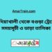 বাদিয়াখালী টু বগুড়া ট্রেনের সময়সূচী ও ভাড়া তালিকা